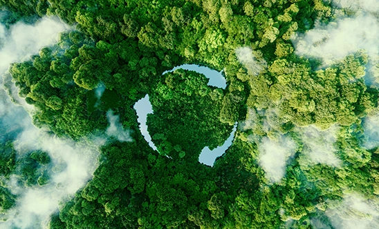 eco logo in a forest