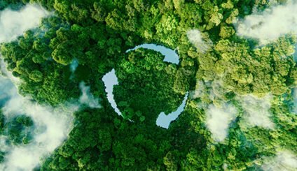 Forest with recycling arrows made from water
