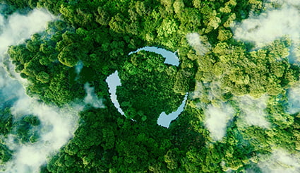 A forest with recycling