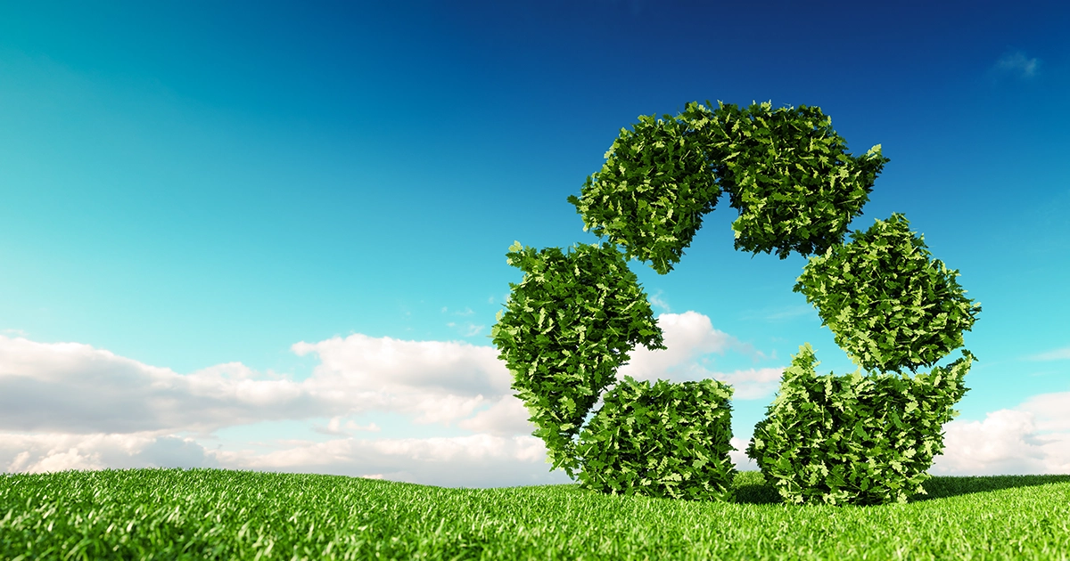 recycle logo with water in a forest